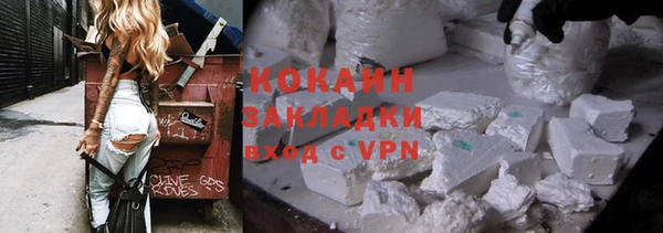 прущие грибы Балабаново