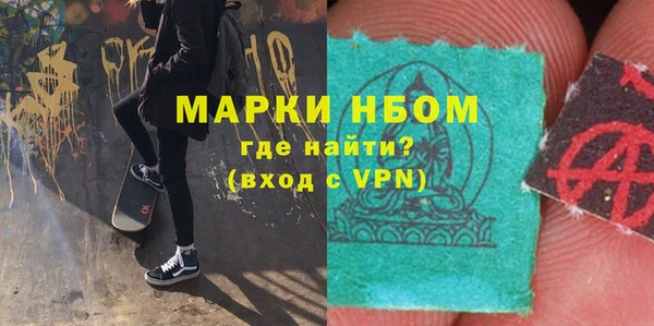 прущие грибы Балабаново