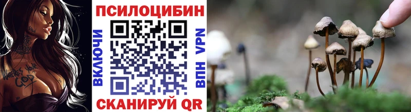 Псилоцибиновые грибы GOLDEN TEACHER Шали